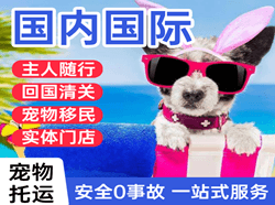 韶关机场托运国际宠物托运 【国